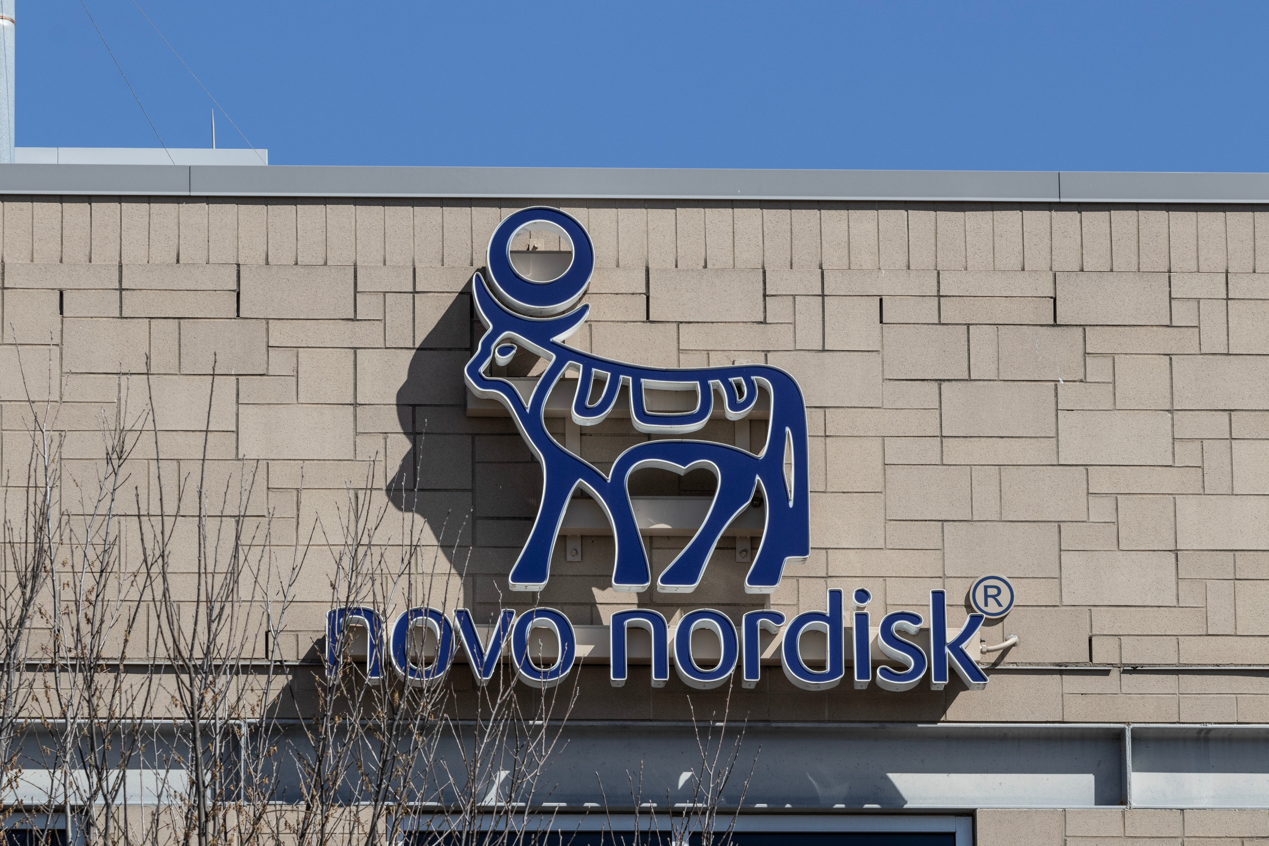 Here’s why the Novo Nordisk stock has crashed by 70%